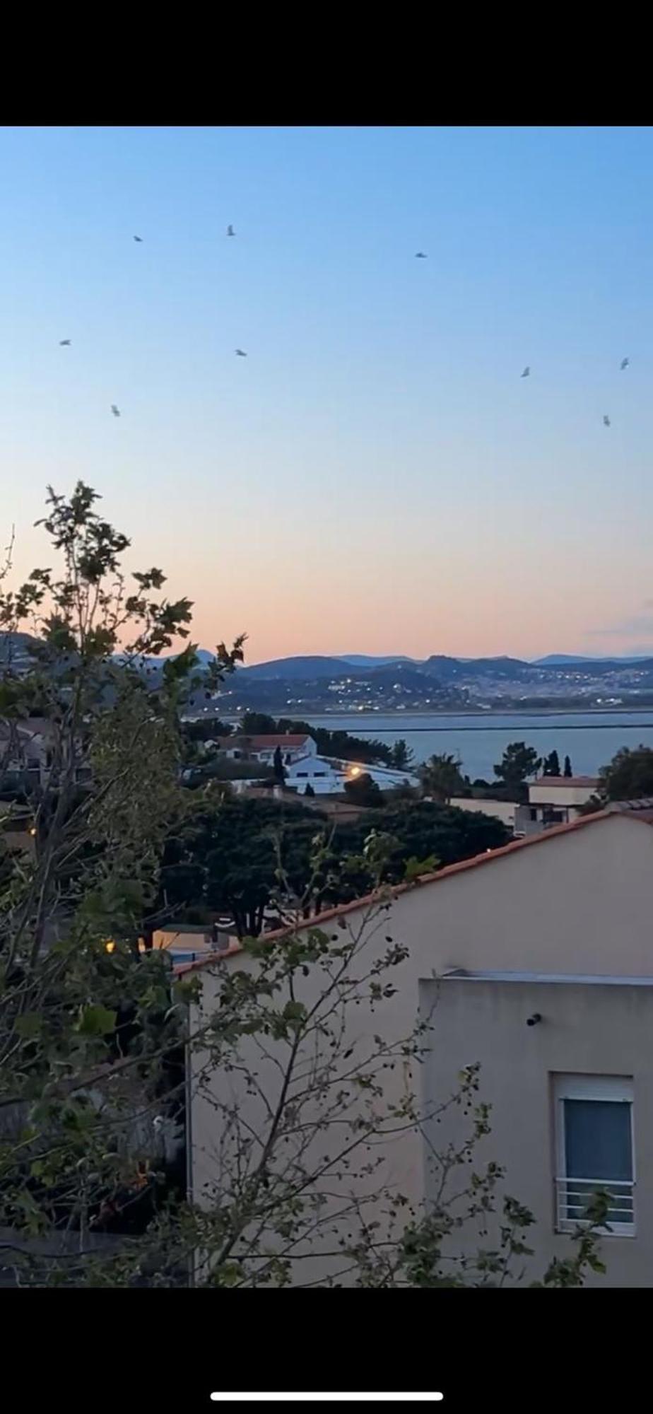 Superbe Duplex Refait A Neuf ! Apartman Hyères Kültér fotó